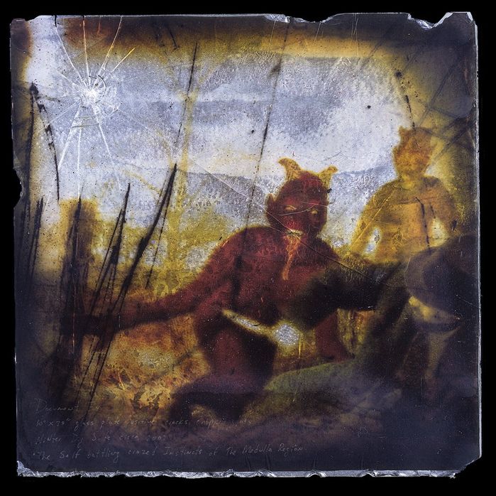 Plate E4, a masked figure among animals