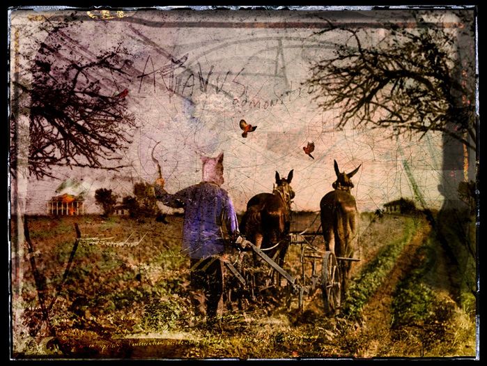 Plate F100: a masked figure plowing behind two mules