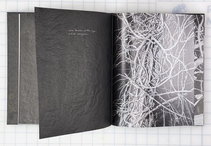 A page turning onto a photograph of vines
