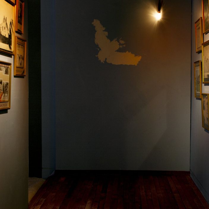 The hall: old wooden floor, night light and plaster bat at the end of the wall