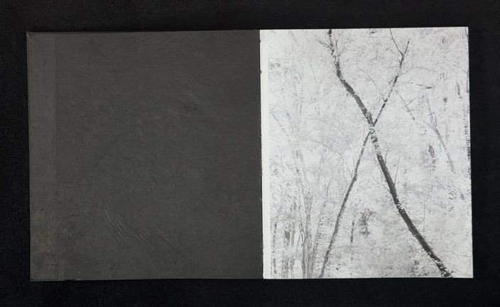The opening spread: the X photograph facing a handmade page