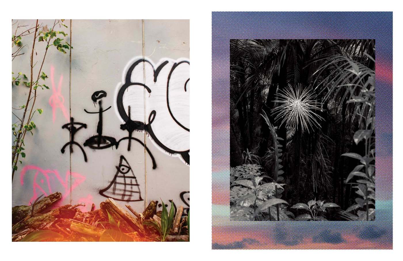 Spread: graffiti and a palm sunburst