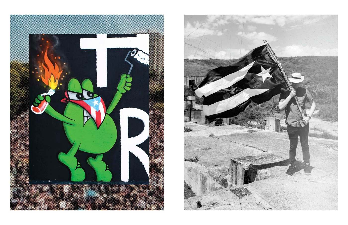Spread: a toad and a flag
