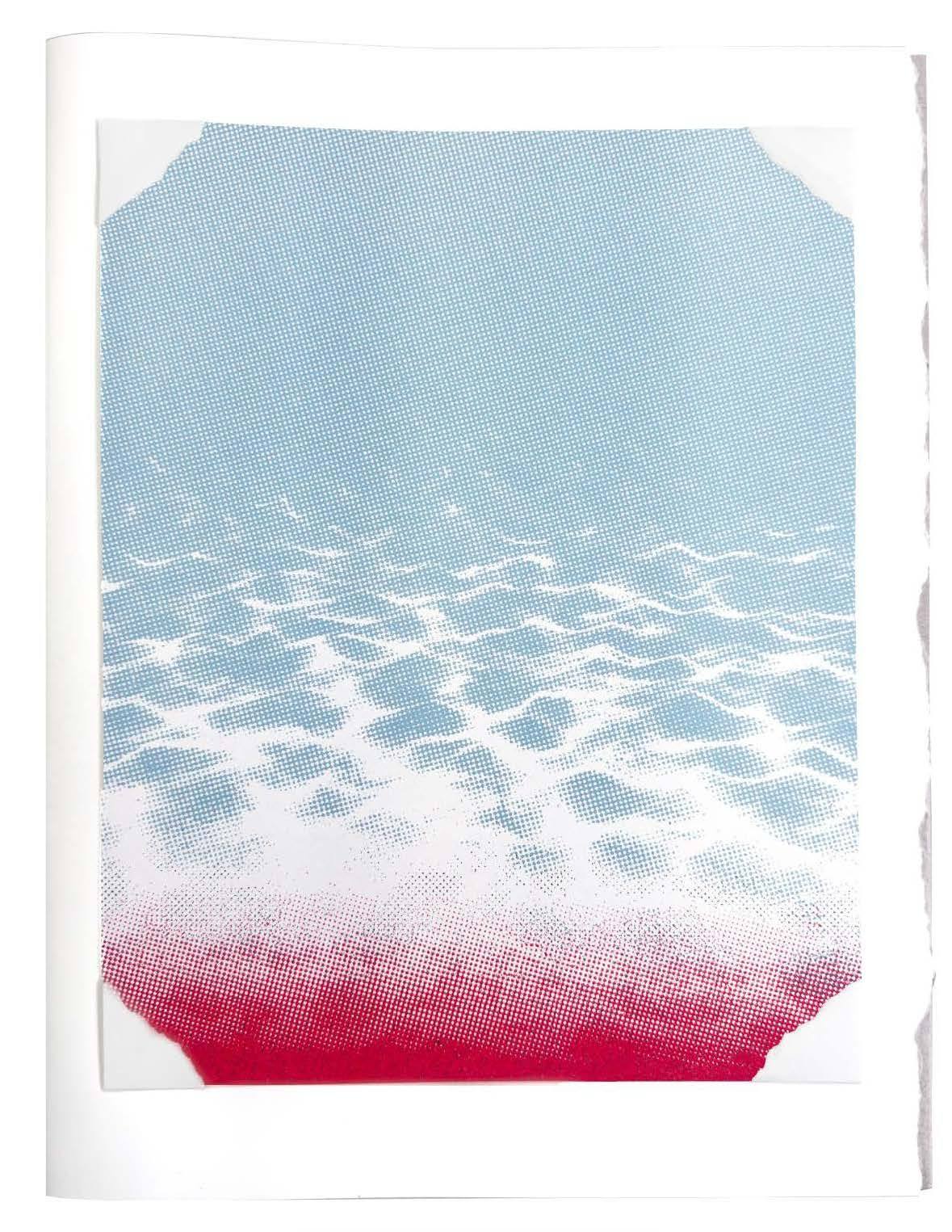The Collector's Edition: Riso-printed folio cover